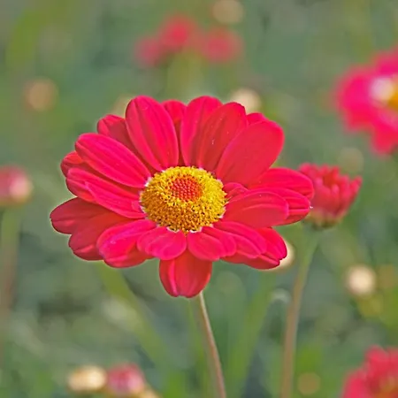 Hotelhuisje #b Dom wakacyjny Warmenhuizen