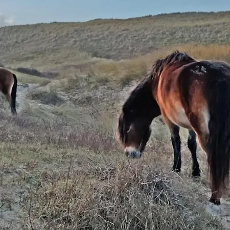 Hotelhuisje #b * Warmenhuizen