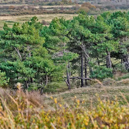 Hotelhuisje #b Σπίτι διακοπών Warmenhuizen