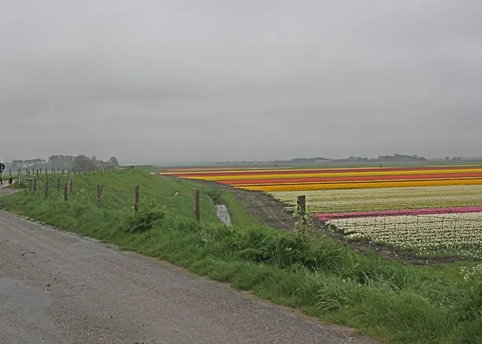 Hotelhuisje #b 펜션