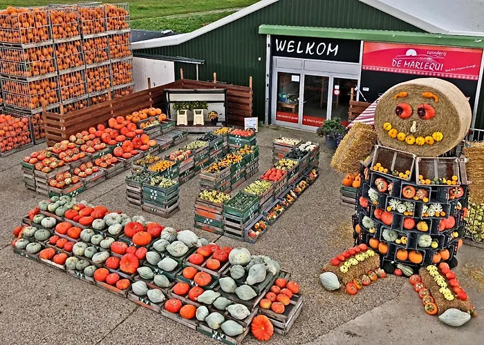 Hotelhuisje #b Warmenhuizen