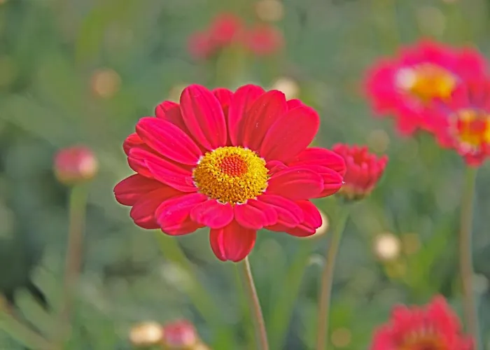 Hotelhuisje #b 펜션 와멘후젠