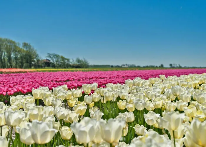 Hotelhuisje #b 펜션