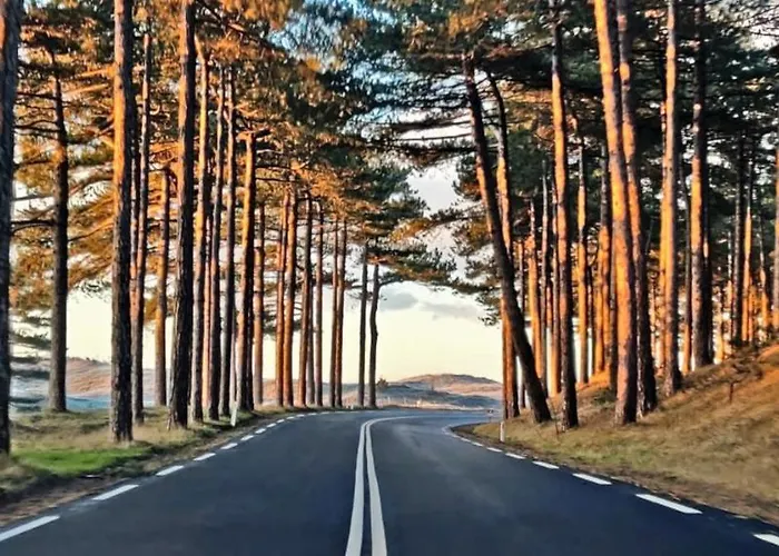 Hotelhuisje #b Casa vacanze Warmenhuizen