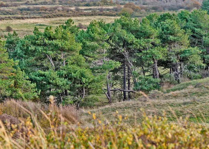 Hotelhuisje #b 펜션 와멘후젠