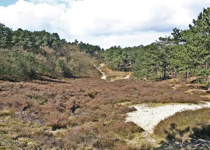 Hotelhuisje #b 펜션