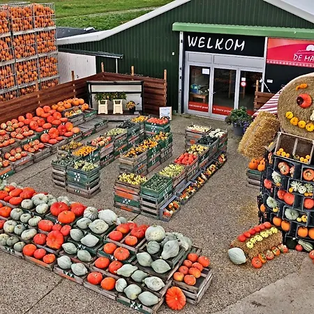 Hotelhuisje #b Warmenhuizen